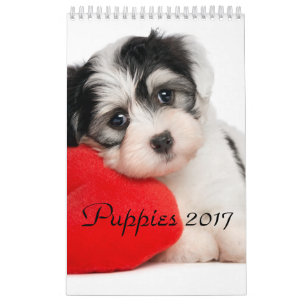 Calendário Os filhotes de cachorro Calendar 2017