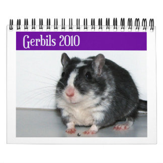 Calendário Os Gerbils Calendar (a reprodução)