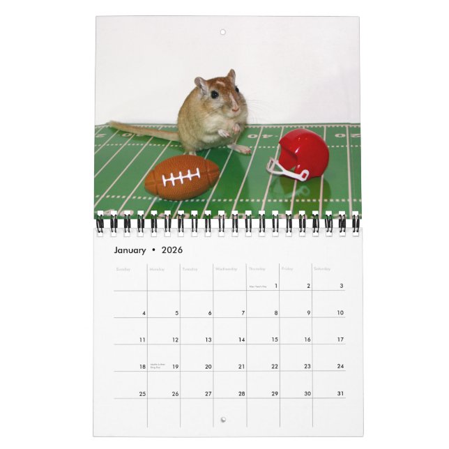 Calendário Os Gerbils Calendar (a reprodução) (Jan 2026)