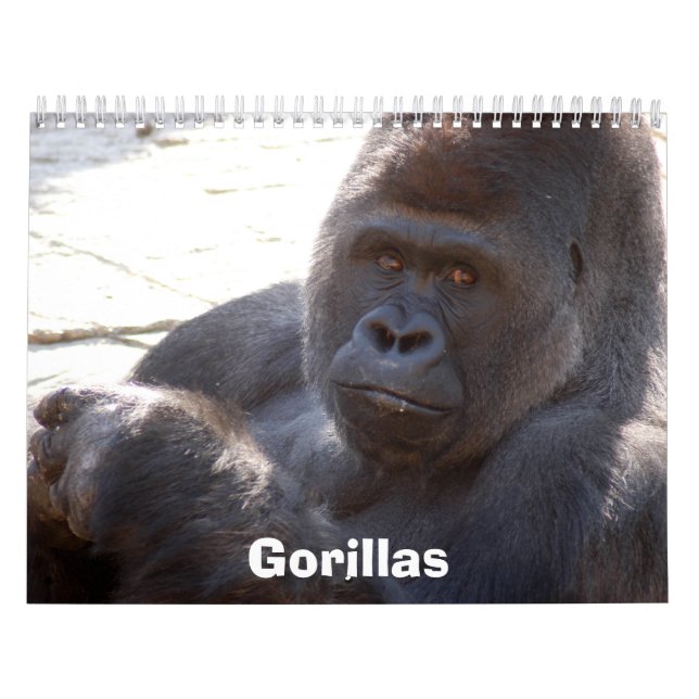 Calendário Os gorila Calendar, gorila (Capa)