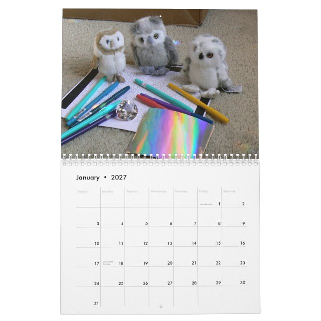 Calendário Os Hootie-Bebês '15 (Jan 2027)