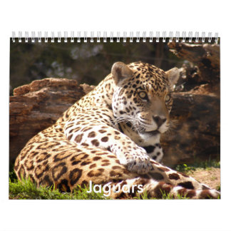 Calendário Os jaguares Calendar, jaguares