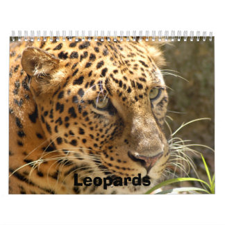 Calendário Os leopardos Calendar, leopardos