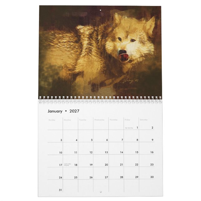 Calendário Os lobos cinzentos de Yellowstone (Jan 2027)