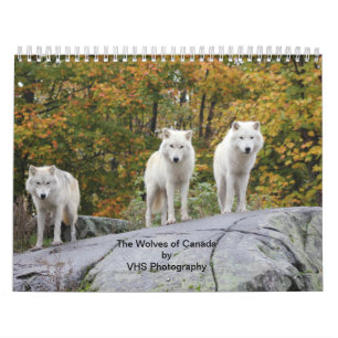 Calendário Os Lobos do Canadá (Calendário)