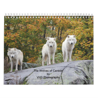 Calendário Os Lobos do Canadá (Calendário)