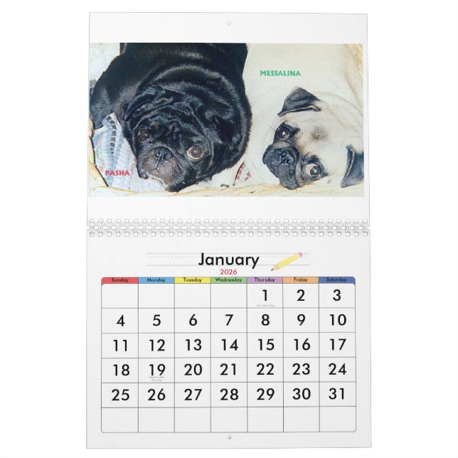 CALENDÁRIO OS MELHORES PUGS NO MUNDO (Jan 2026)
