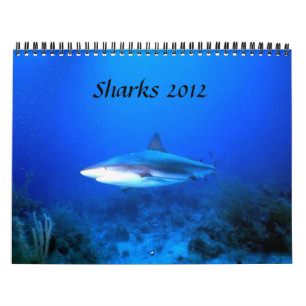 Calendário Os tubarões Calendar 2012