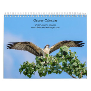 Calendário Osprey 2024