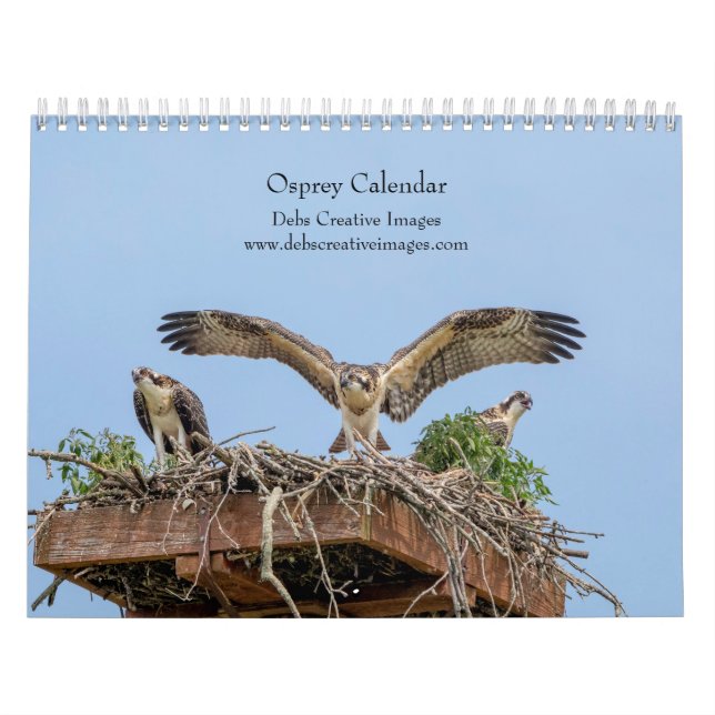 Calendário Osprey 2026 (Capa)