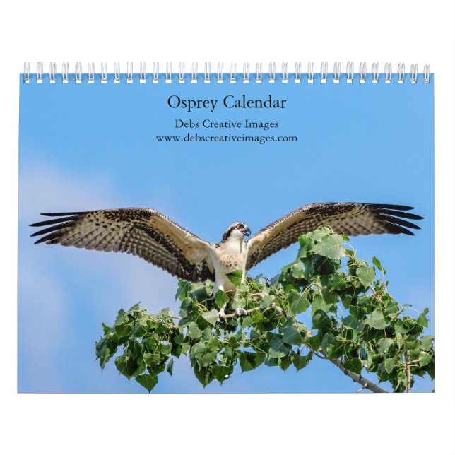 Calendário Osprey 2026 (Capa)