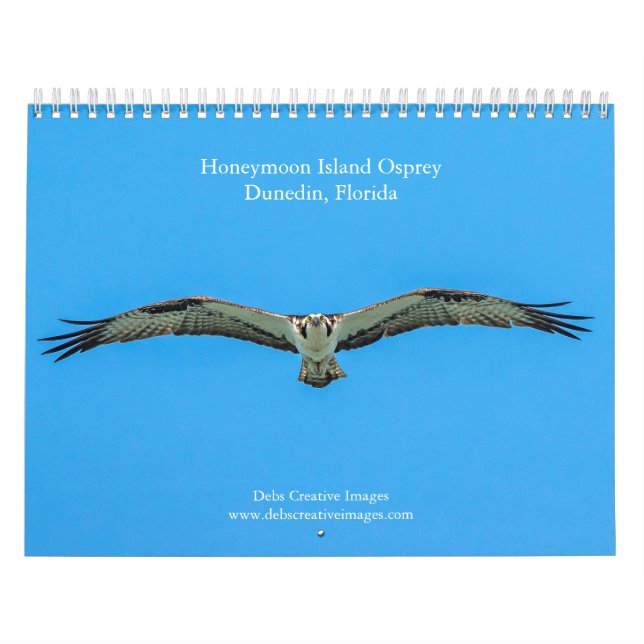 Calendário Osprey 2026 na Ilha Honeymoon (Capa)