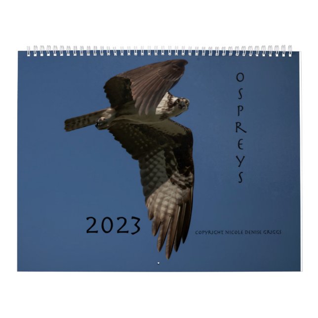 Calendário Ospreys Em Ação 2023 (Capa)