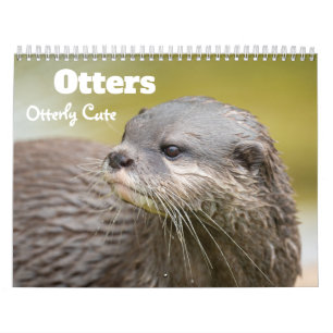 Calendário Otters