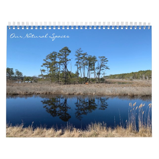 Calendário Our Natural Spaces: dreamflower 2026 calendar (Capa)