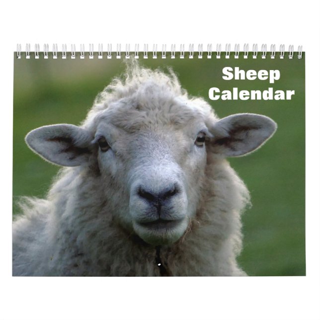Calendário Ovelhas 2027 (Capa)