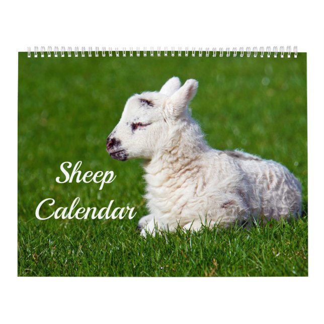 Calendário Ovinos (Capa)