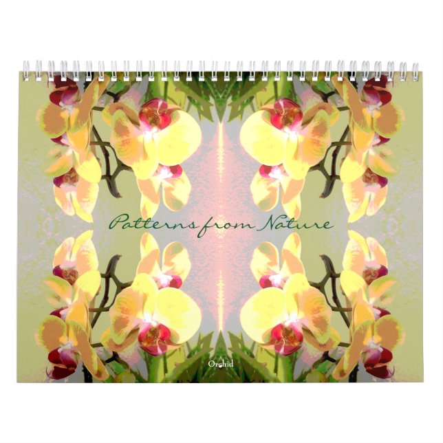 Calendário Padrões da Natureza (Capa)