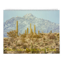 Paisagem do Parque Nacional Saguaro