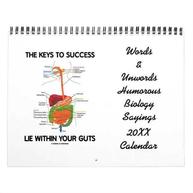 Calendário Palavras & provérbios cómicos 20XX Clnd da (Capa)