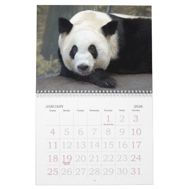 Calendário panda117, ursos de panda gigante (Jan 2026)