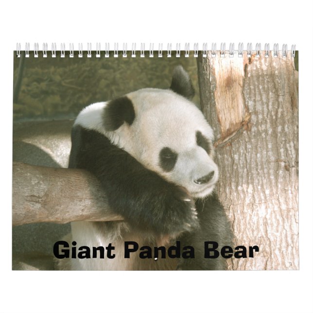 Calendário PandaM016, urso de panda gigante (Capa)