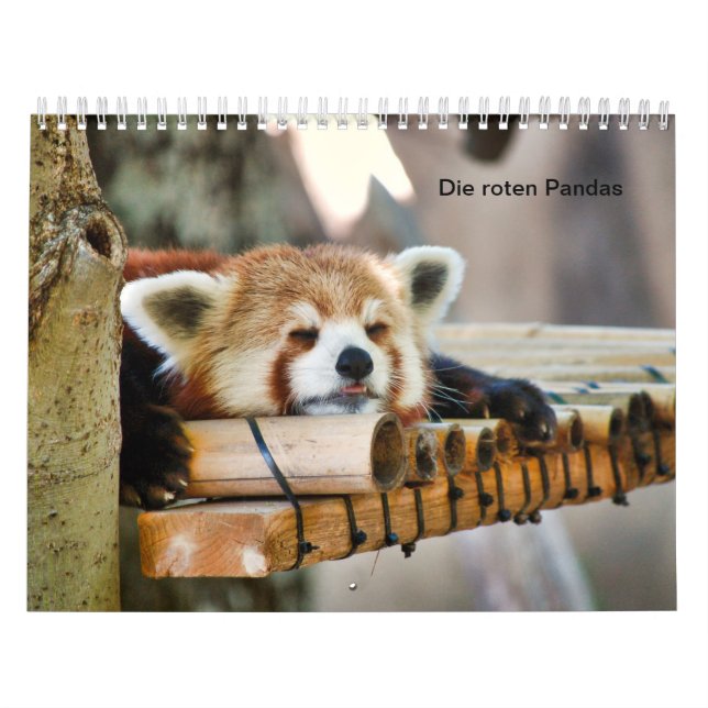 Calendário Pandas vermelhas (Capa)