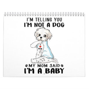 Calendário Pão Cão  Estou a dizer-te que não sou um cão m