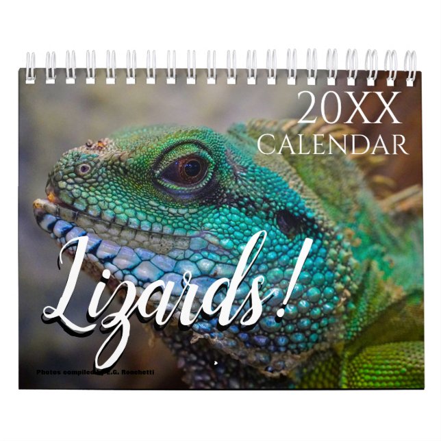 Calendário Papel de Parede Temático de Lagarto 2027  (Capa)