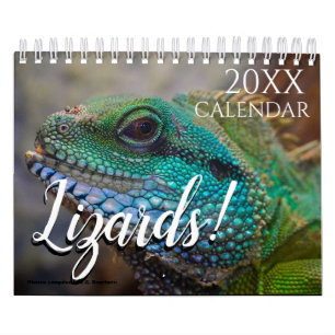 Calendário Papel de Parede Temático de Lagarto 2027