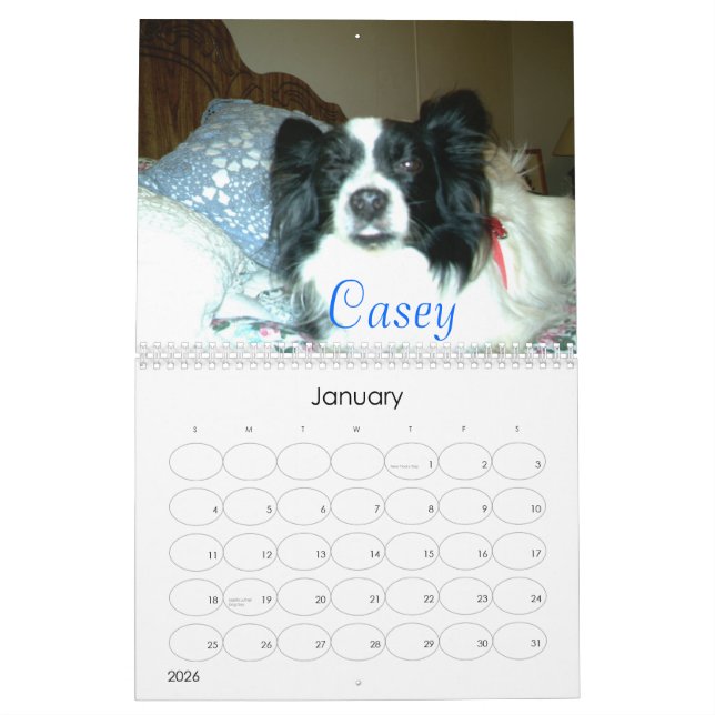 Calendário Papillons bonito, 2007 (Jan 2026)