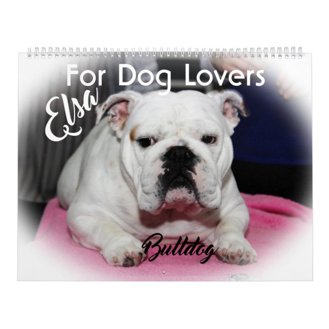 CALENDÁRIO PARA DOG LOVERS 2020 (Capa)