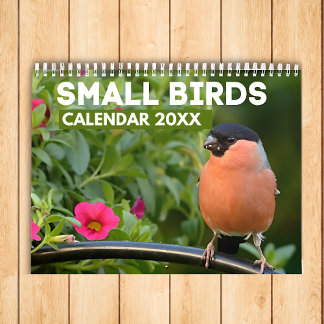 Calendário para Pequenas Aves 2025