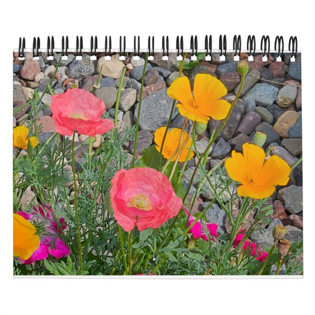 Calendário Parada de Poppies (Capa)