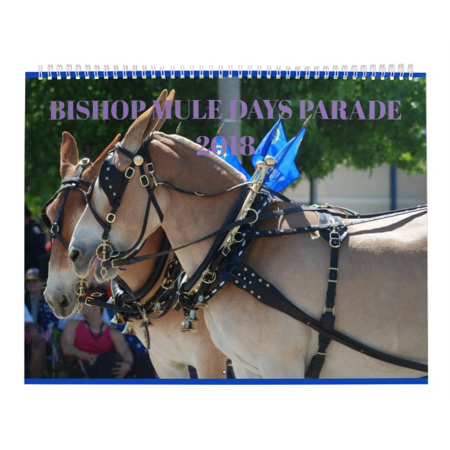 Calendário Parada dos Dias do Bispo de 2018 (Capa)