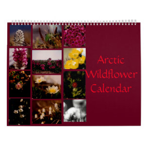 Calendário Parede ártica bonita da cor dos Wildflowers