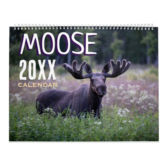 Calendário Parede de Animais Silvestres Alce 2027 (Capa)