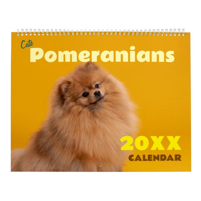 Calendário Parede de Cachorros Pomerânia Fofos (Capa)