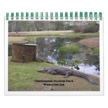 "PARQUE DE SWAMP OKEFENOKEE"