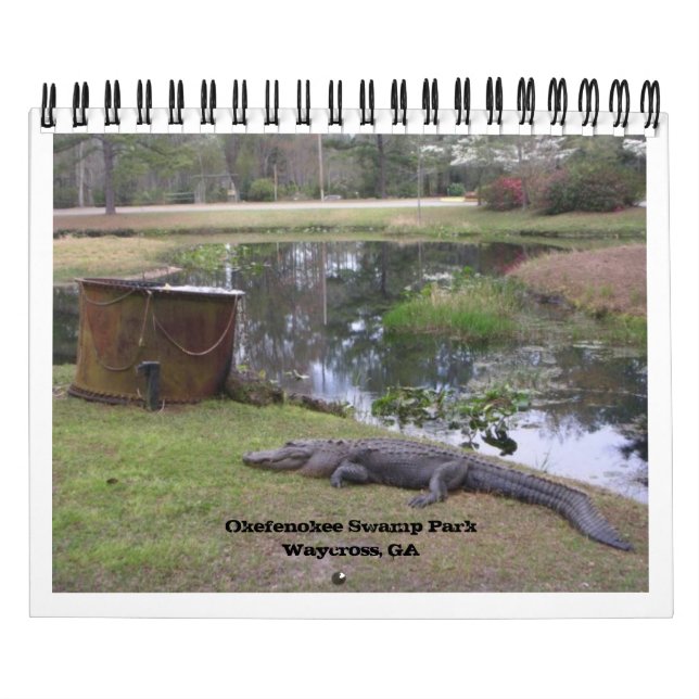 CALENDÁRIO "PARQUE DE SWAMP OKEFENOKEE" (Capa)
