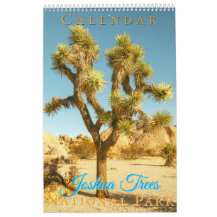 Calendário Parque Nacional do Joshua Trees Paisagem