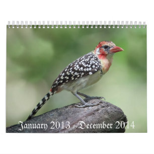 Calendário Pássaro Calaender 2013-2014