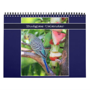 Calendário Pássaros 2026 Fotografia de Papagaio Pet-Budget