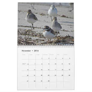 Calendário Pássaros aquáticos
