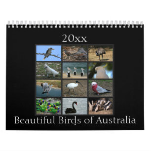 Calendário Pássaros australianos coloridos