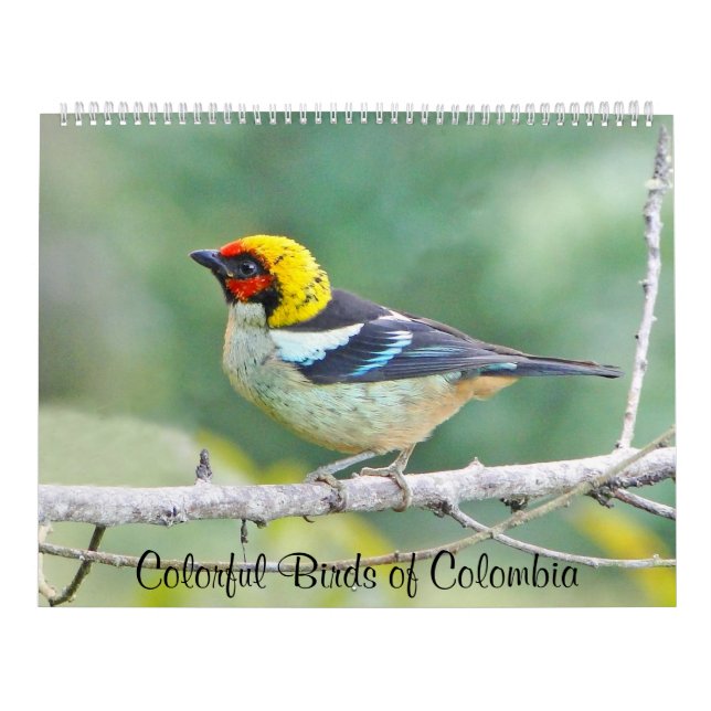 Calendário Pássaros coloridos de Colômbia (Capa)