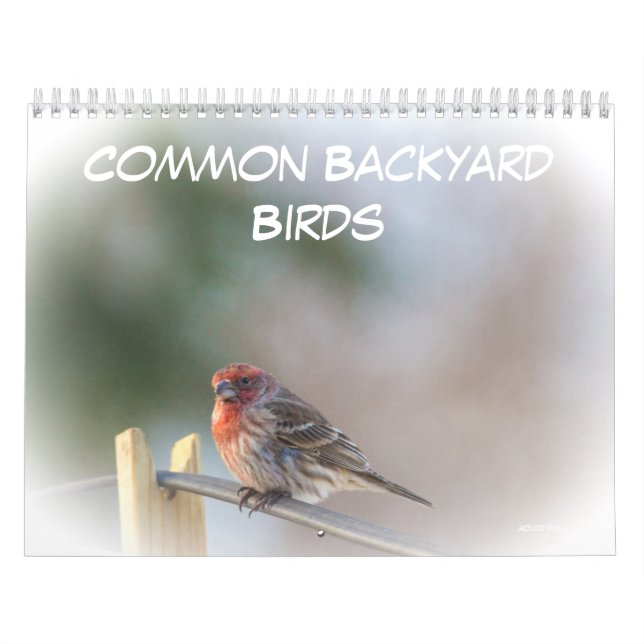 Calendário - Pássaros comuns do quintal (Capa)