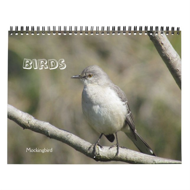 Calendário - Pássaros (datas grandes) (Capa)