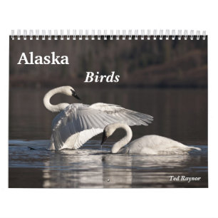Calendário Pássaros de Alaska