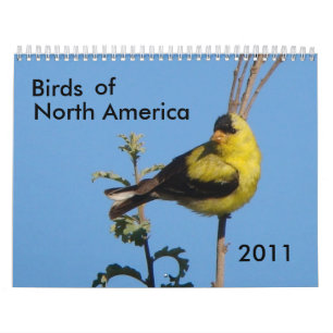 Calendário Pássaros de America do Norte 2011